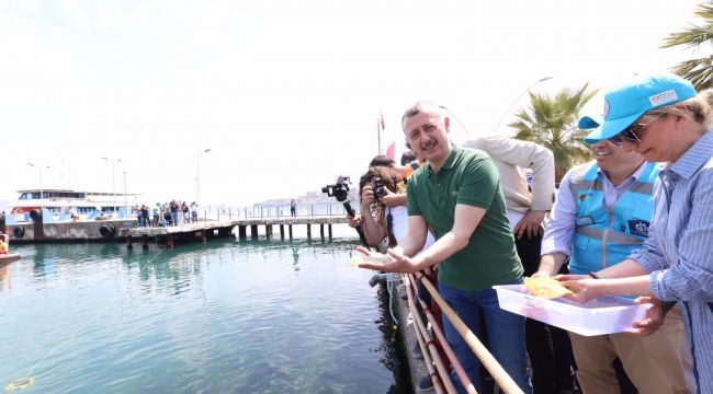 6 bin yavru balık İzmit Körfezi’ne salındı