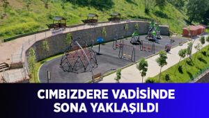 Cımbızdere Vadisinde sona yaklaşıldı