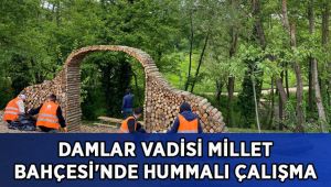 Damlar Vadisi Millet Bahçesi'nde hummalı çalışma sürüyor