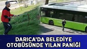 Darıca’da Belediye otobüsünde yılan paniği
