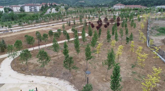 Eski enkaz döküm sahası yeşil alana dönüştü