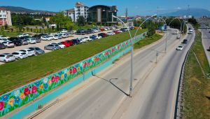 Güzel Şehrim, Körfez’e renk kattı