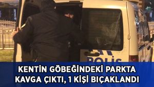 Kentin göbeğindeki parkta kavga çıktı, 1 kişi bıçaklandı