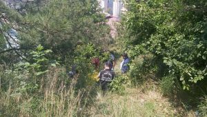 Dilovası'nda ormanlık alanda çocuk cesedi bulundu