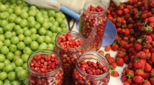 Dağlarda toplanıyor, kilogramı 50 TL'ye satılıyor
