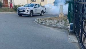 Dilovası Belediyesi, sivrisinek ve haşerelere savaş açtı