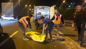 Dilovası’nda tırın çarptığı şahıs hayatını kaybetti