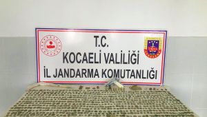 Jandarma ekiplerinden tarihi eser operasyonu