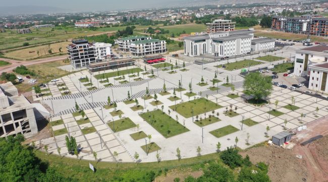 Kent Meydanı’nda çınar ağaçları yeşerecek
