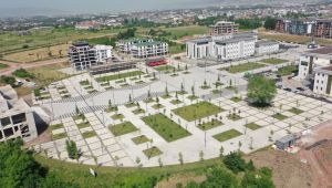 Kent Meydanı’nda çınar ağaçları yeşerecek