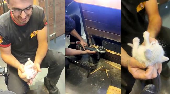 Kolon arasında mahsur kalan kedi için seferber oldular