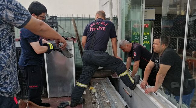 Mahsur kalan kediye itfaiyeden kurtarma operasyonu