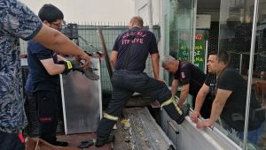 Mahsur kalan kediye itfaiyeden kurtarma operasyonu