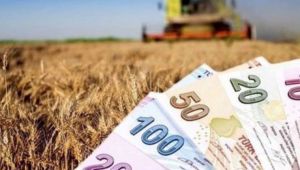Tarımsal destekleme ödemeleri hesaplara yatırılıyor