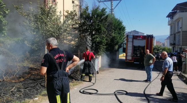 Alevlerin arasında kalan kaplumbağayı itfaiye kurtardı