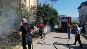 Alevlerin arasında kalan kaplumbağayı itfaiye kurtardı