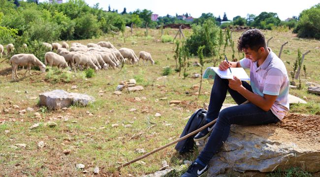 Dilovası’nda Liseli çoban, üniversiteye hazırlanıyor