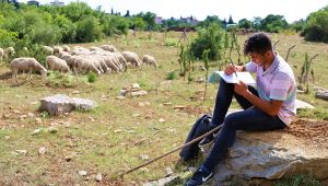 Dilovası’nda Liseli çoban, üniversiteye hazırlanıyor