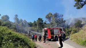 Kocaeli'de ormanlık alanda yangın çıktı