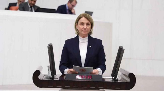 Zeybek'ten Hürriyet'e salvo!