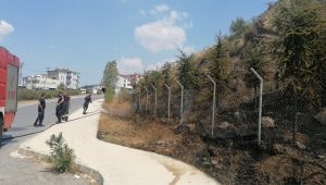 Elektrik akımına kapılan güvercin yangın çıkardı