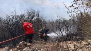 Gebze’deki ormanlık alanda yangın çıktı