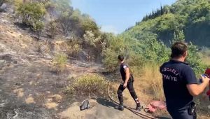 Kocaeli’deki orman yangını kontrol altına alındı
