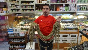 Kuru bamya gram altınla yarışıyor