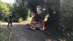 Park halindeki otomobil alev alev yandı