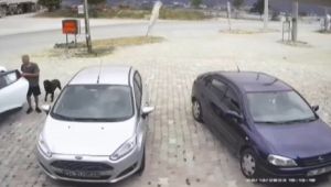 Şaşkına çeviren köpek hırsızlığı