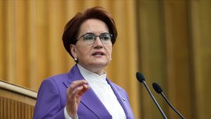 Sokak köpeği Meral Akşener'i ısırdı