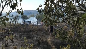 Barakada başlayan yangın ağaçlık alana yayıldı
