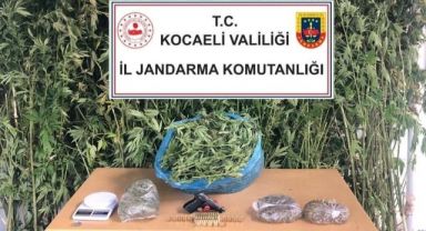 Kocaeli'de 4 kilo 825 gram esrar ele geçirildi