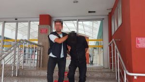 Kocaeli'de 6 kaçak göçmen yakalandı