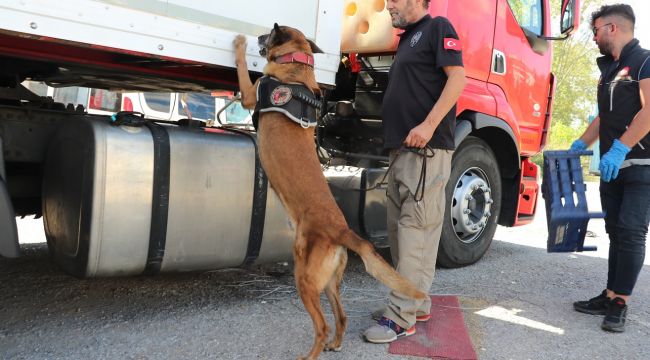 Kocaeli'de dev uyuşturucu operasyonu