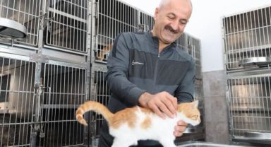 Büyükgöz’den hayvanları koruma günü ziyareti!