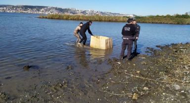 Kaçak midyecilere deniz polisi baskını