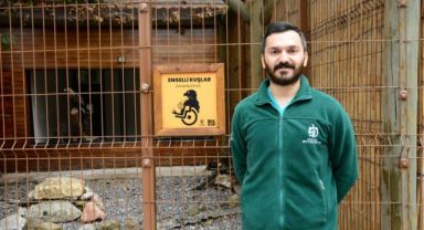 Onlar Ormanya'nın yırtıcı misafirleri