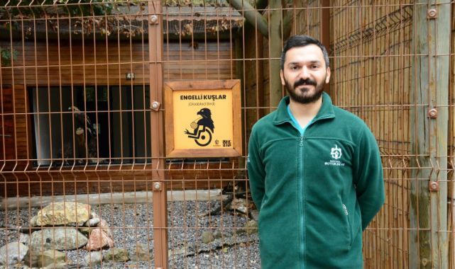 Onlar Ormanya'nın yırtıcı misafirleri
