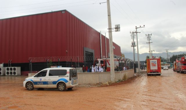 Cips fabrikasında çıkan yangın korkuttu