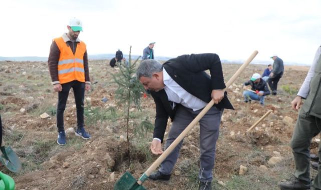 Dilovası'nda 2 bin 500 fidan toprakla buluştu