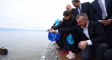 İzmit Körfezi'ne 6 bin balık bırakıldı