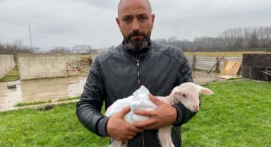 Annesini köpekler telef etti, evde bebek gibi bakılıyor