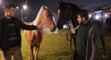 Atlarla birlikte halay çektiler, takı taktılar
