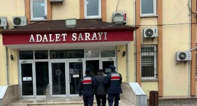17 yıl hapis cezasıyla aranan şahıs jandarma operasyonuyla yakalandı