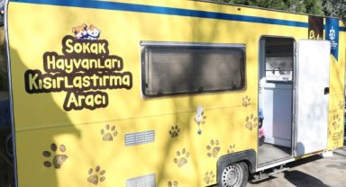 Sokak kedilerine kısırlaştırma karavanı