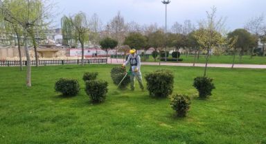 Darıca daha yeşil bir yaza hazırlanıyor