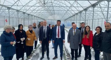 Darıca'nın projesi tarımda örnek olacak