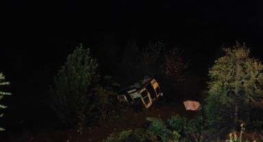 Ehliyetsiz sürücü ağaçlık alana uçtu: 2 yaralı