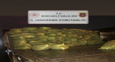 Gebze'de 10 ton kaçak midye ele geçirildi